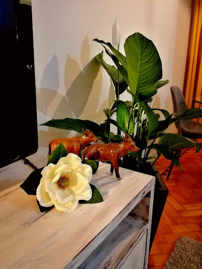 شقة The Sunset Lisbon Flat المظهر الخارجي الصورة